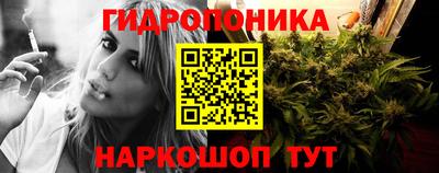 прущие крисы Тверь