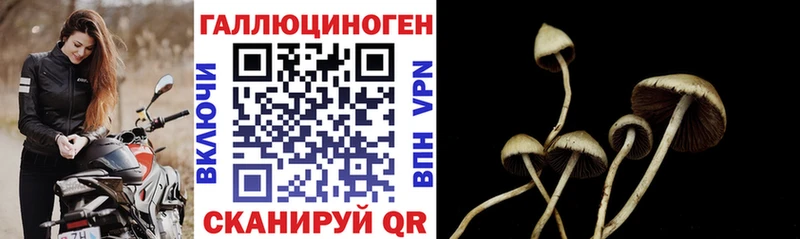 Псилоцибиновые грибы MAGIC MUSHROOMS  Череповец 