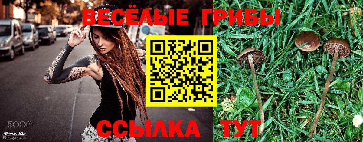 Череповец  Галлюциногенные грибы мухоморы  Вход с VPN 